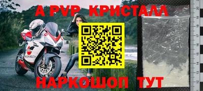 шишки Нальчик