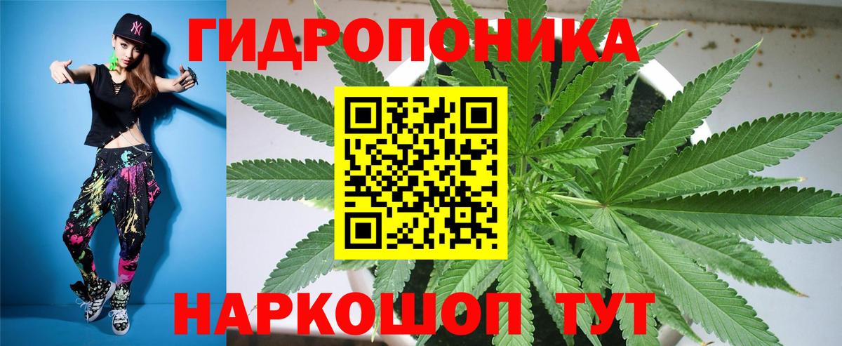 Марихуана Amnesia  Вход с VPN  МАРИХУАНА White Widow  Сосновый Бор  Канабис LSD WEED 